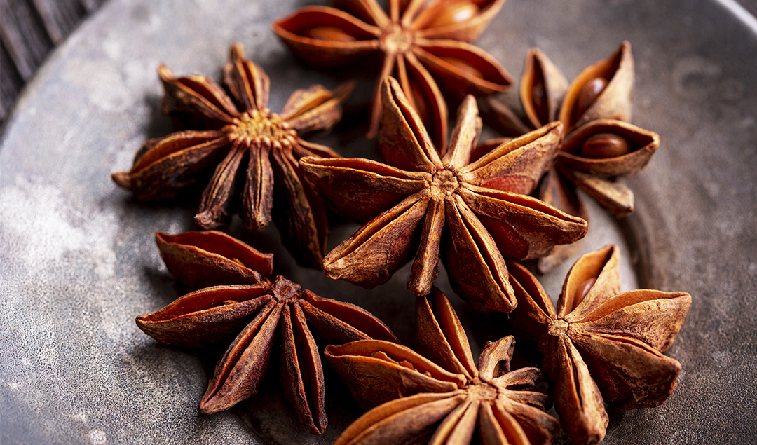 Read more about the article Star anise essential oil – applications for fragrances, scents and much more